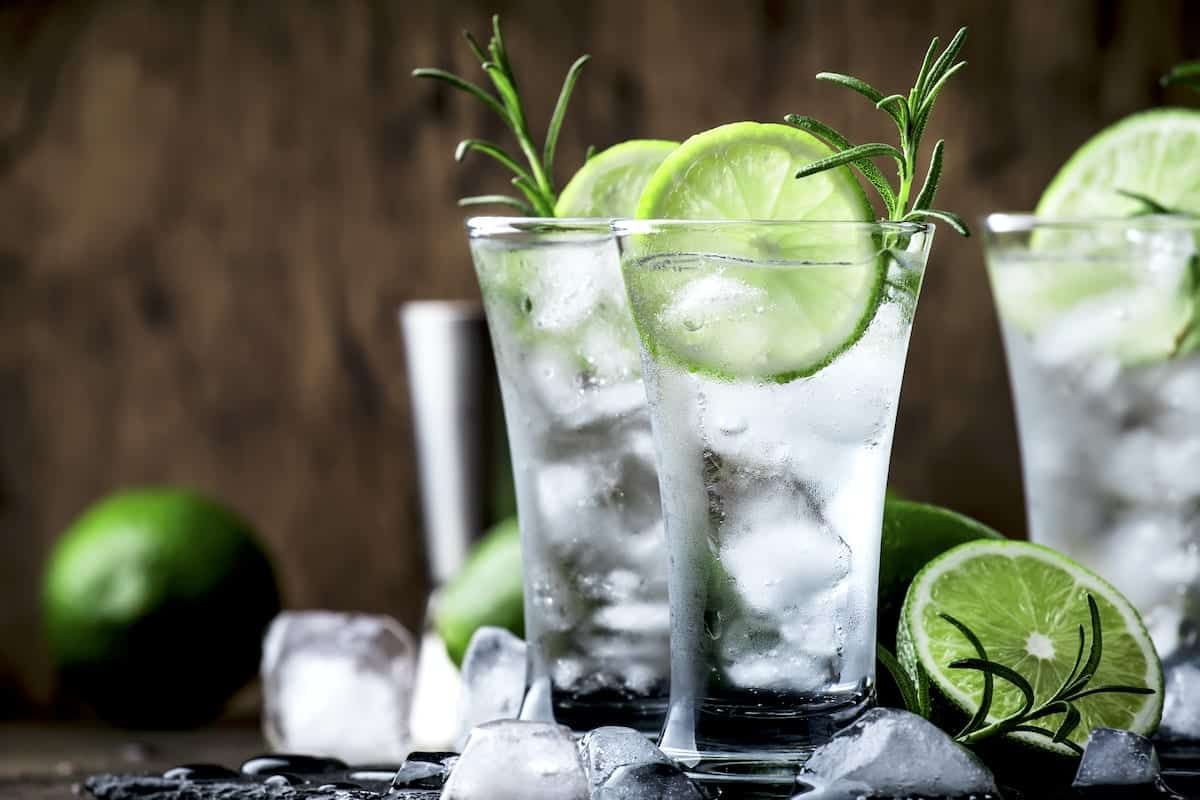 Classic Gin and Tonic recipe