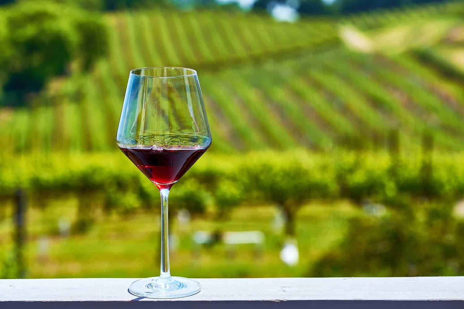 California's Top 20 Red Wines